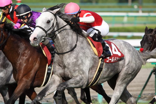 ２歳戦が早くも開始 注目の19新種牡馬はかわいいゴールドシップとクラグオーだ 馬楽園的コラム マイナー血統の競馬浪漫 馬楽園 Com